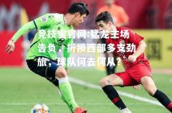 竞技宝官网:猛龙主场告负，折损西部多支劲旅，球队何去何从？