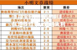 竞技宝官网:莱比锡球队连胜结束，遭遇失利