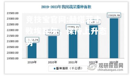 赫塔菲击败埃瓦尔，保持上升态势