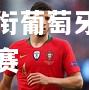 大卫·席尔瓦领衔葡萄牙队备战国际比赛
