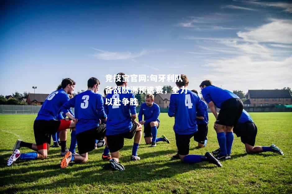 匈牙利队备战欧洲预选赛，全力以赴争胜