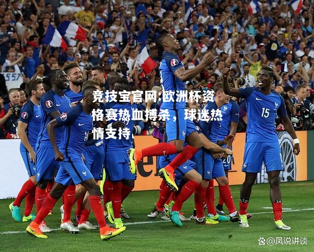 欧洲杯资格赛热血搏杀，球迷热情支持