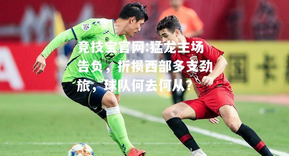 猛龙主场告负，折损西部多支劲旅，球队何去何从？