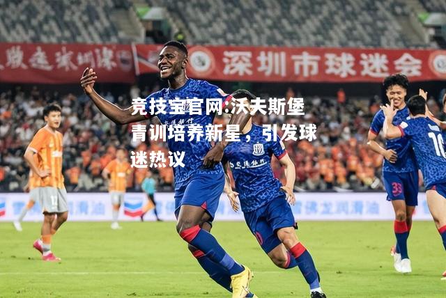 沃夫斯堡青训培养新星，引发球迷热议