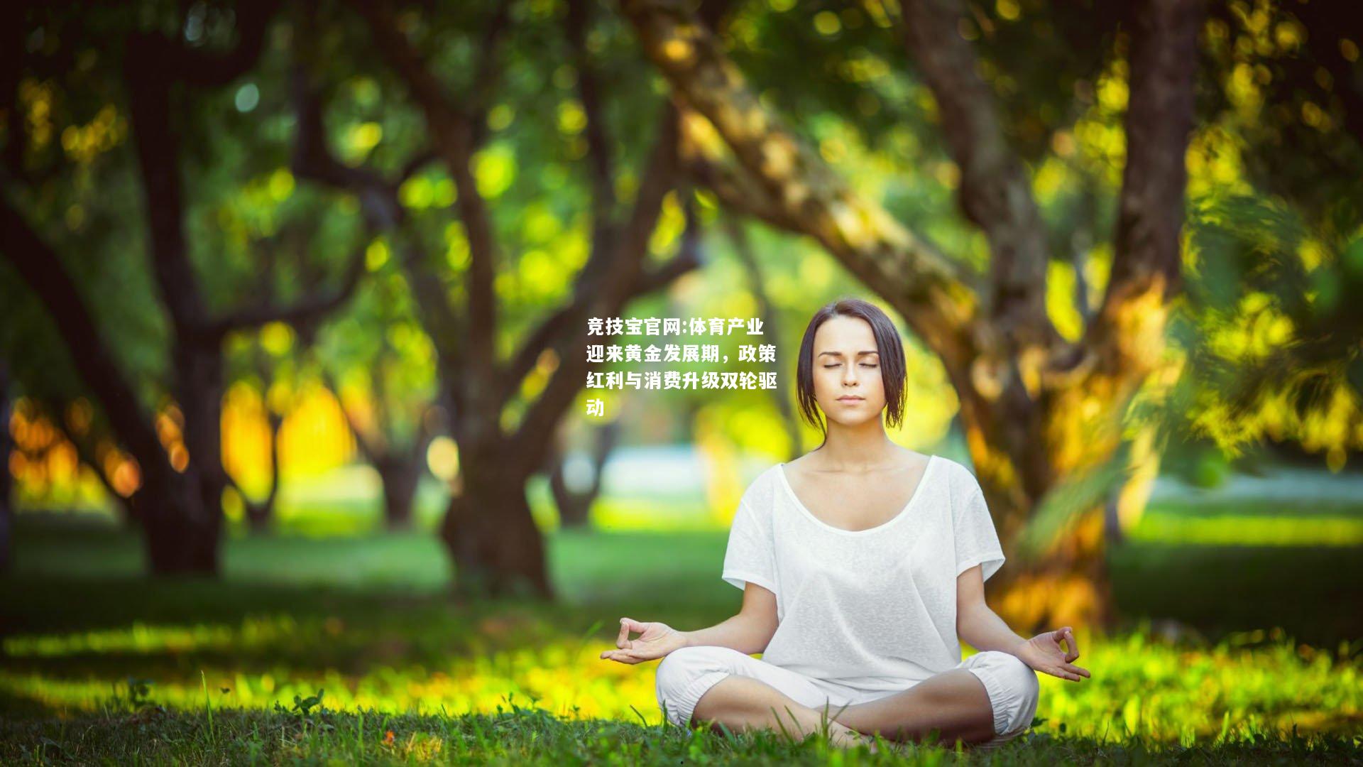 体育产业迎来黄金发展期，政策红利与消费升级双轮驱动