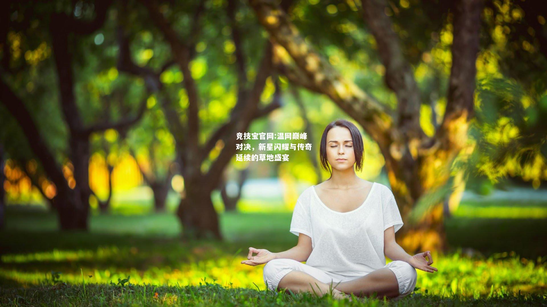 温网巅峰对决，新星闪耀与传奇延续的草地盛宴