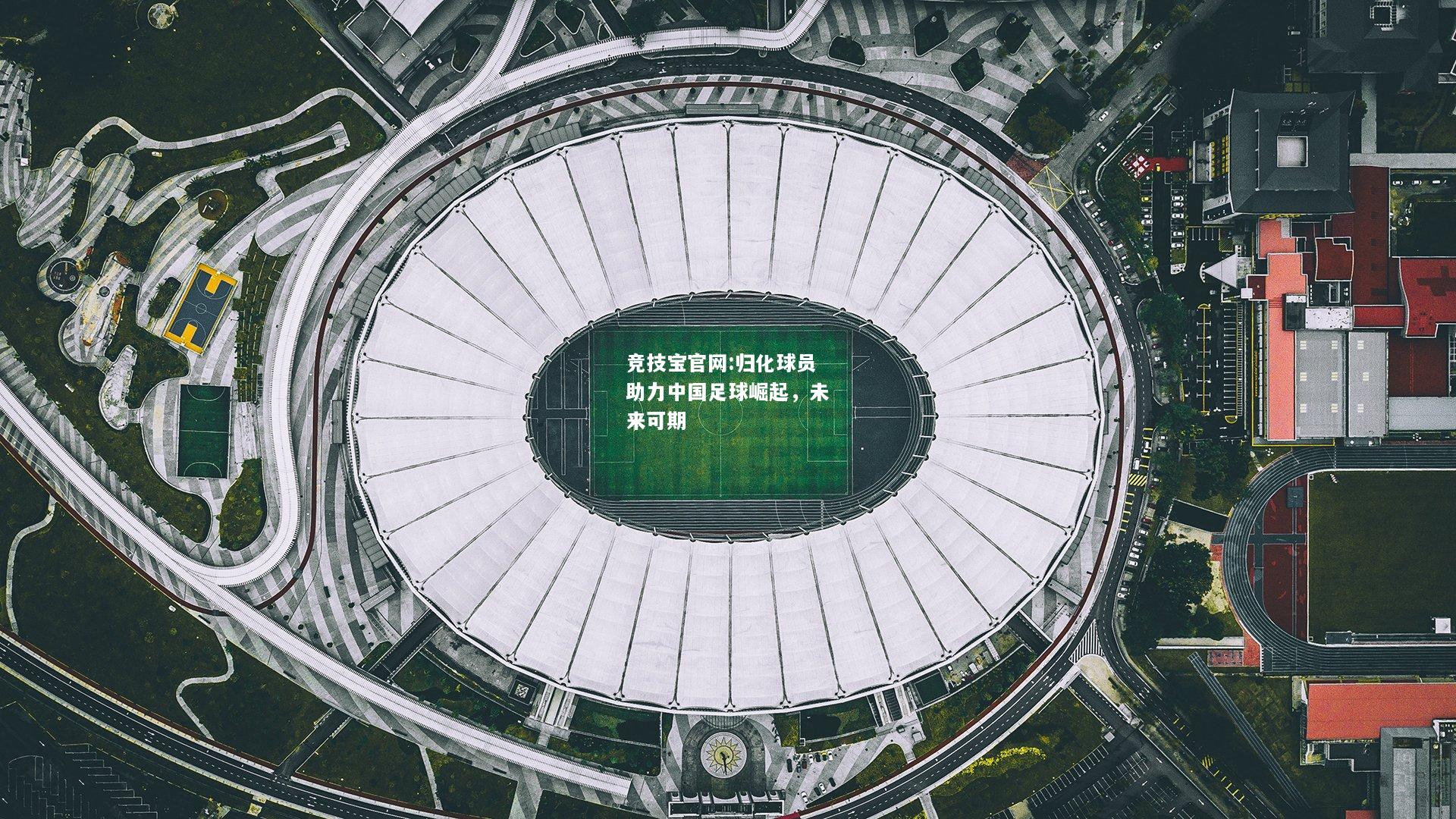 归化球员助力中国足球崛起，未来可期